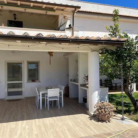 Villa Olga Tarquinia Dış mekan fotoğraf