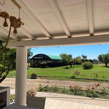 Villa Olga Tarquinia Dış mekan fotoğraf