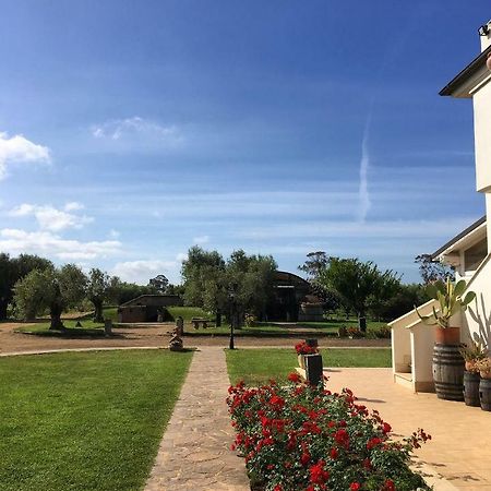 Villa Olga Tarquinia Dış mekan fotoğraf