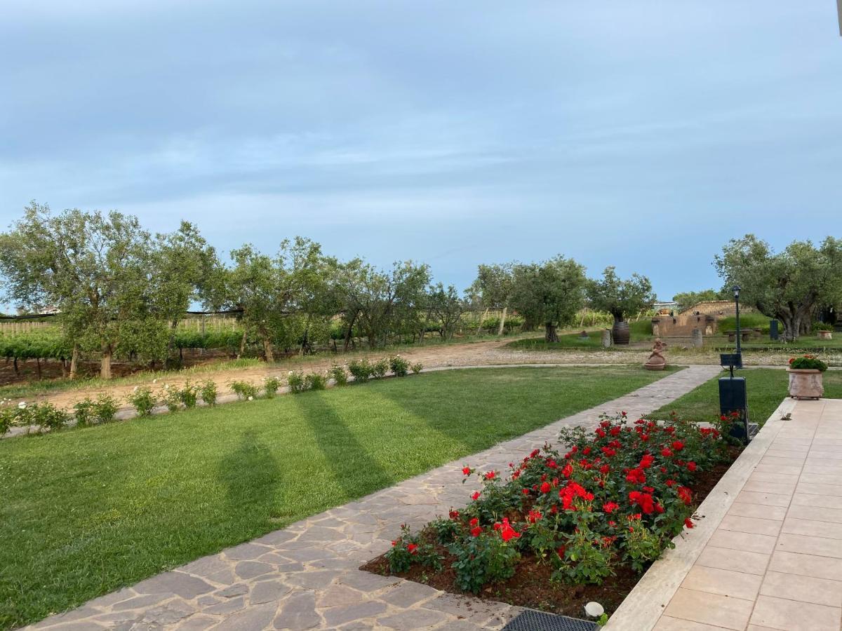 Villa Olga Tarquinia Dış mekan fotoğraf