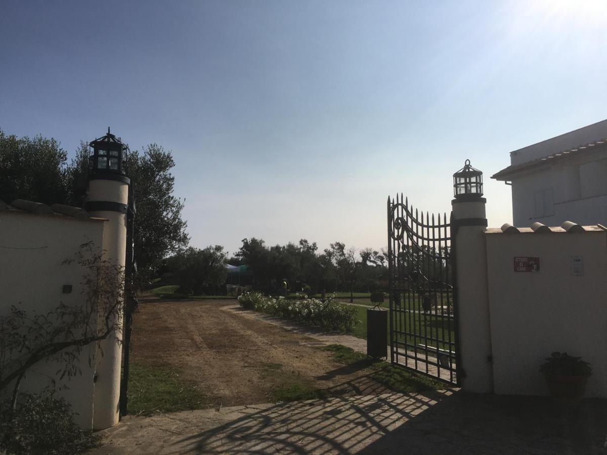 Villa Olga Tarquinia Dış mekan fotoğraf