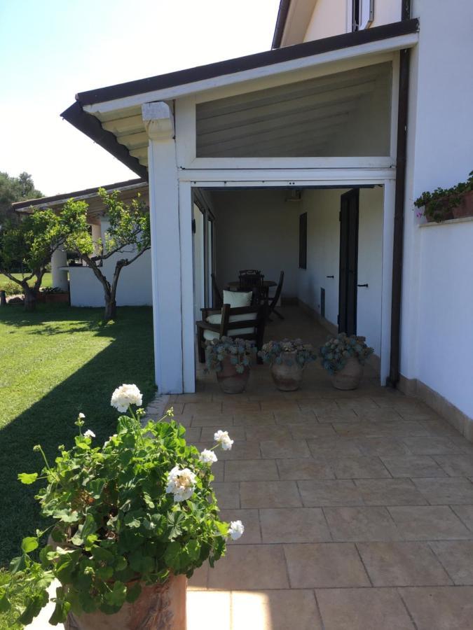 Villa Olga Tarquinia Dış mekan fotoğraf