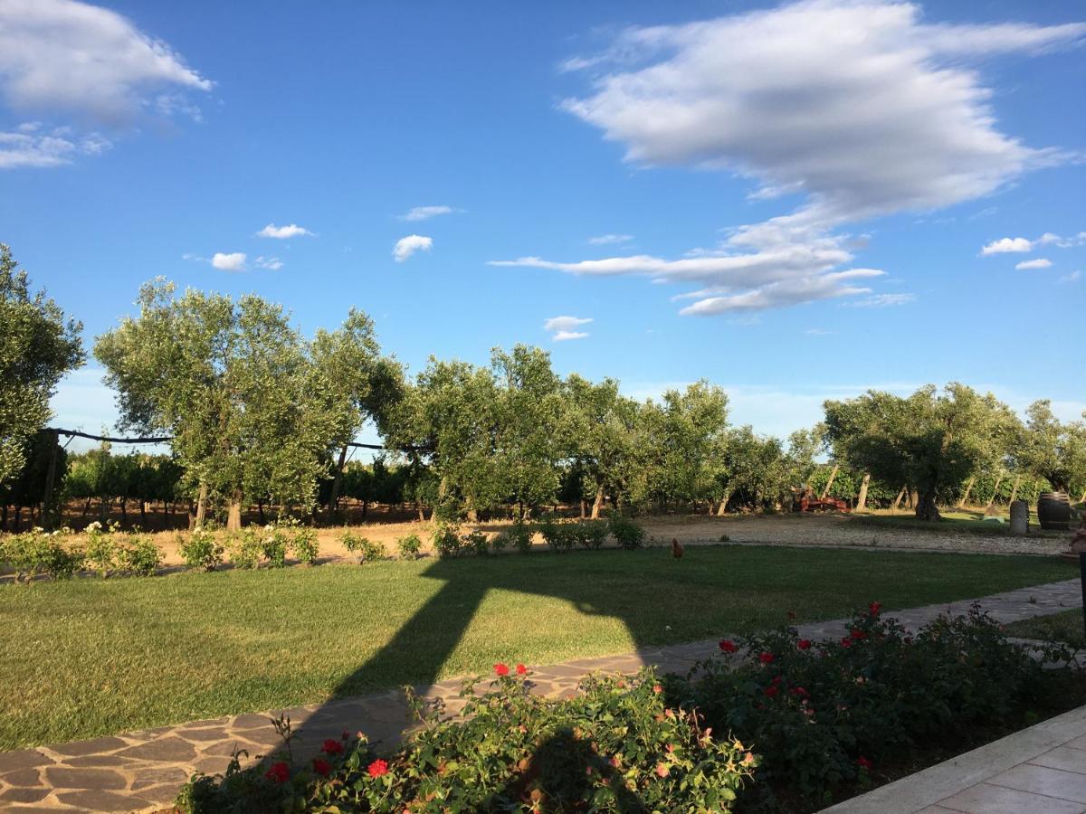 Villa Olga Tarquinia Dış mekan fotoğraf