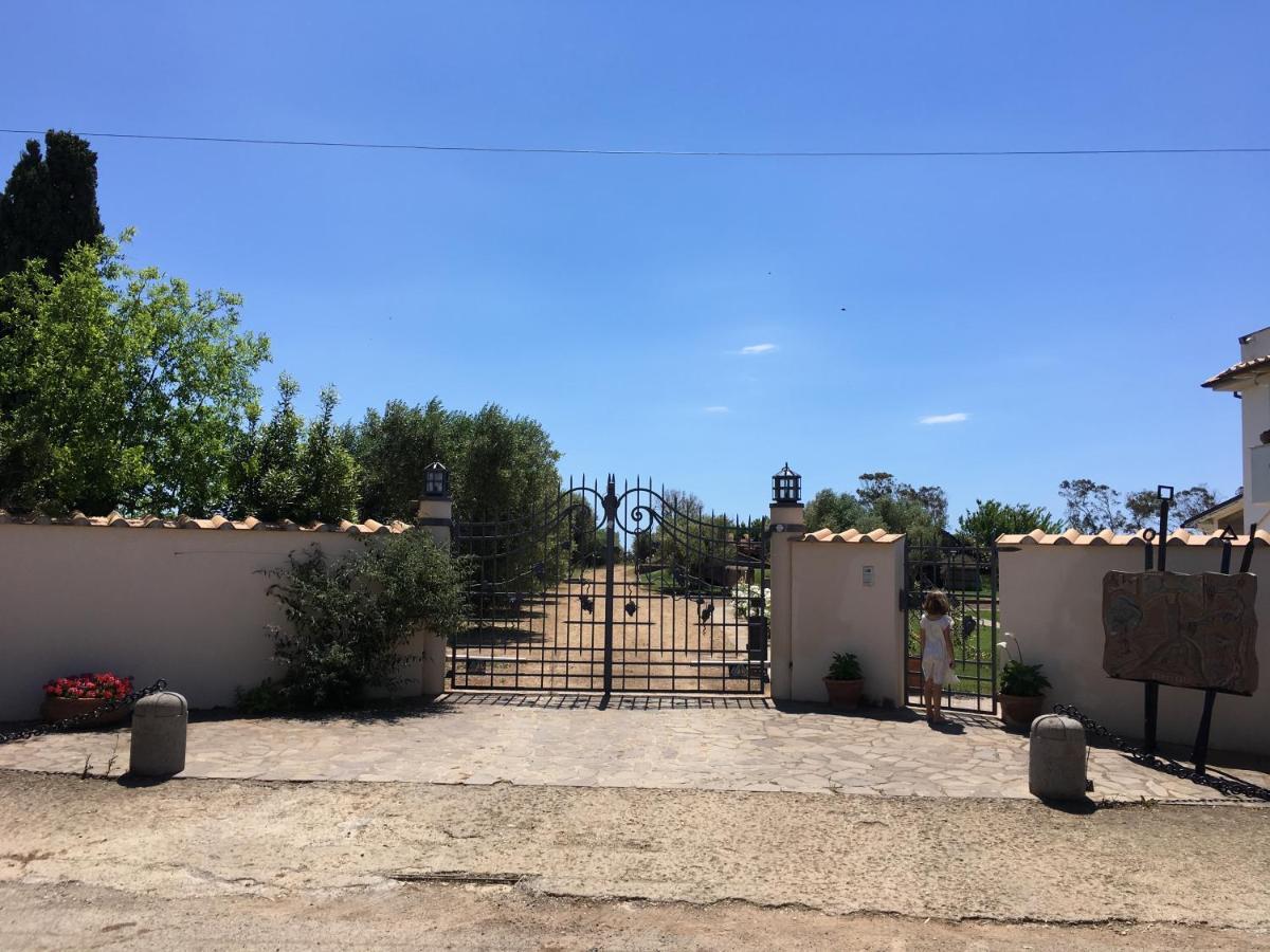 Villa Olga Tarquinia Dış mekan fotoğraf