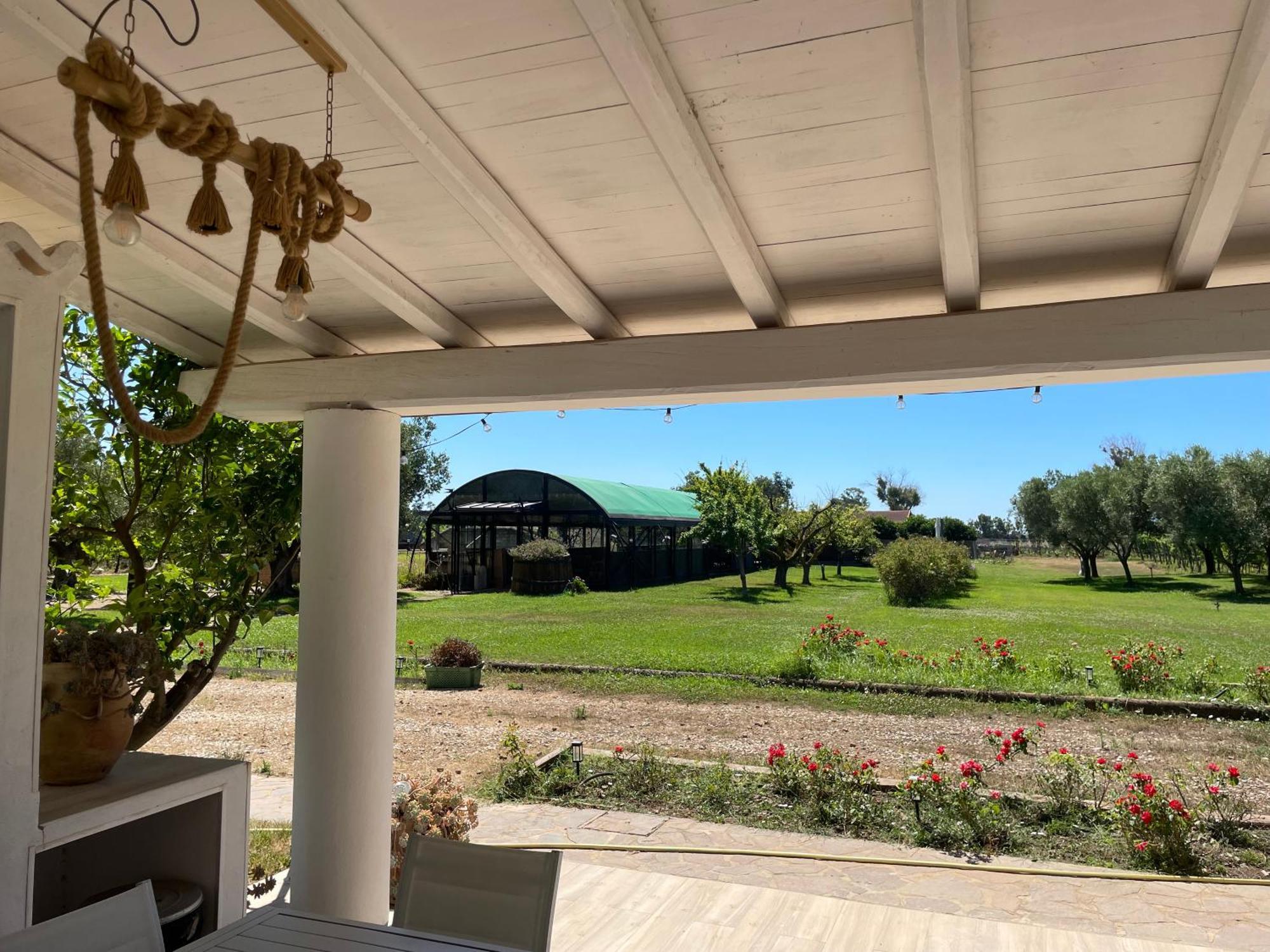 Villa Olga Tarquinia Dış mekan fotoğraf