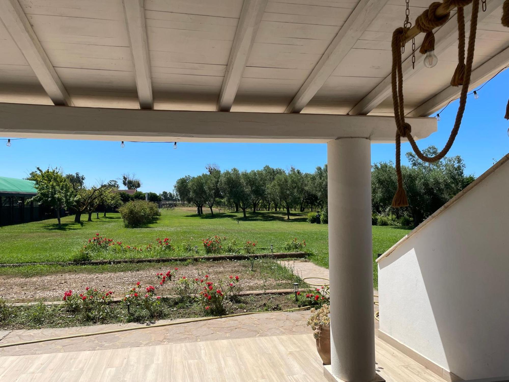 Villa Olga Tarquinia Dış mekan fotoğraf