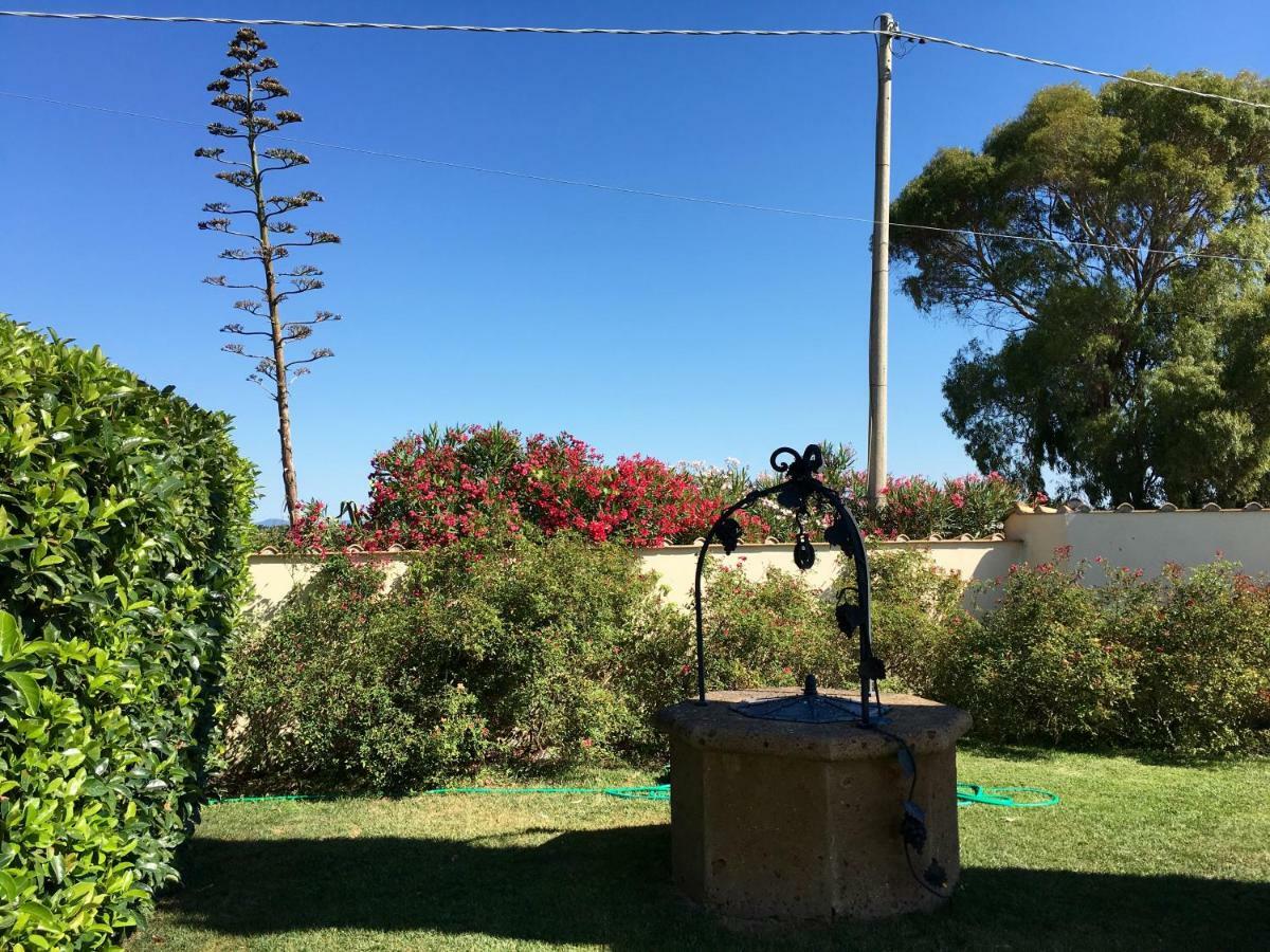 Villa Olga Tarquinia Dış mekan fotoğraf
