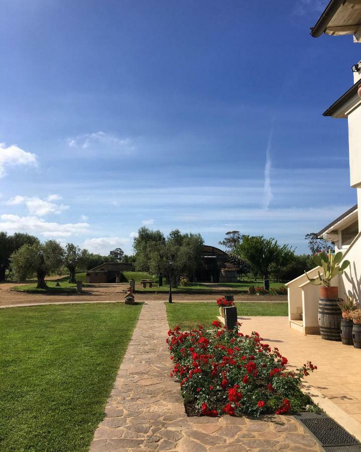Villa Olga Tarquinia Dış mekan fotoğraf